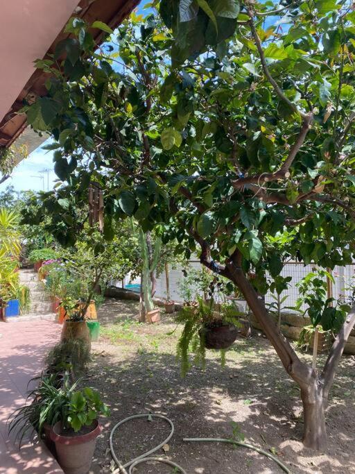 דירות Rodhiá Hidden Nest מראה חיצוני תמונה